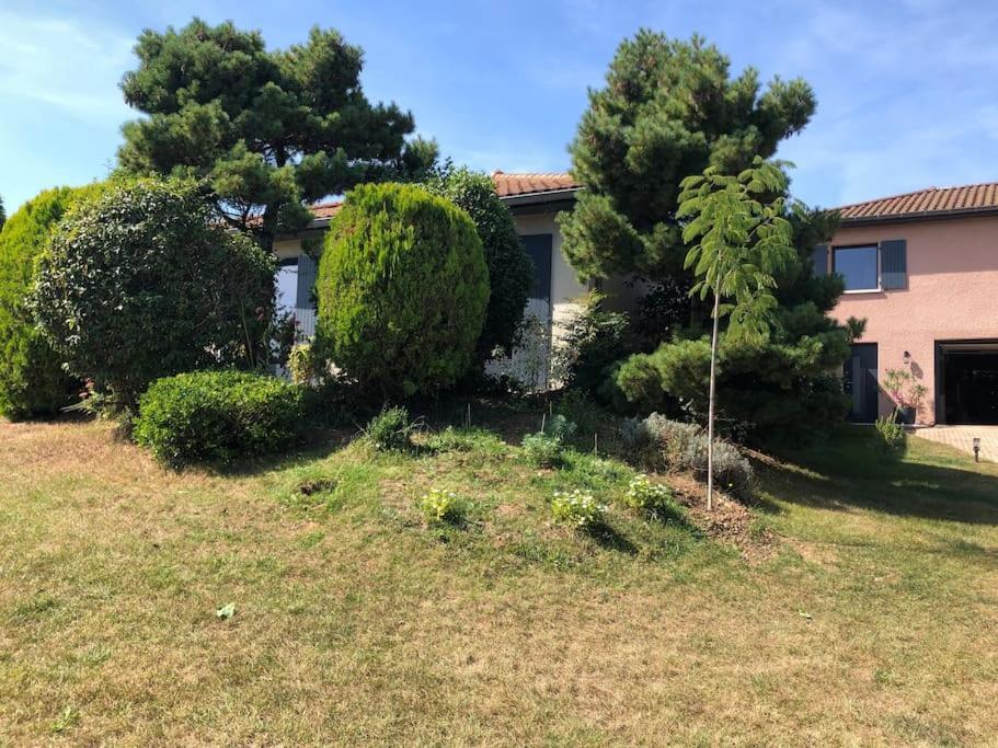 Logements Chaleureux Dans Maison Avec Piscine A 35 Min De Lyon Alix Buitenkant foto